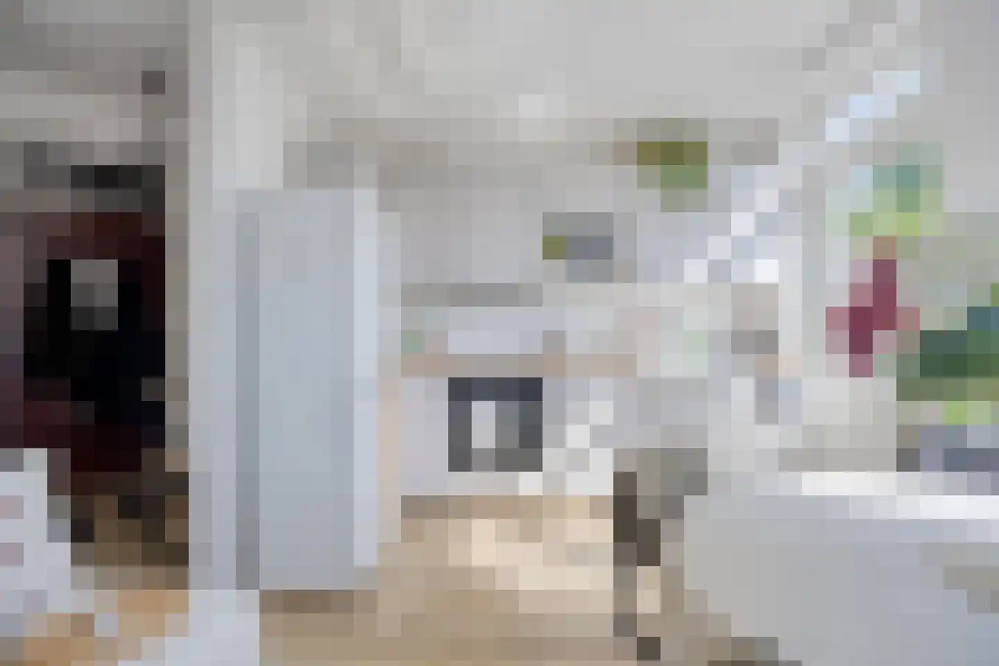 Adriaan van Ostadestraat 177 Groningen thumbnail 15