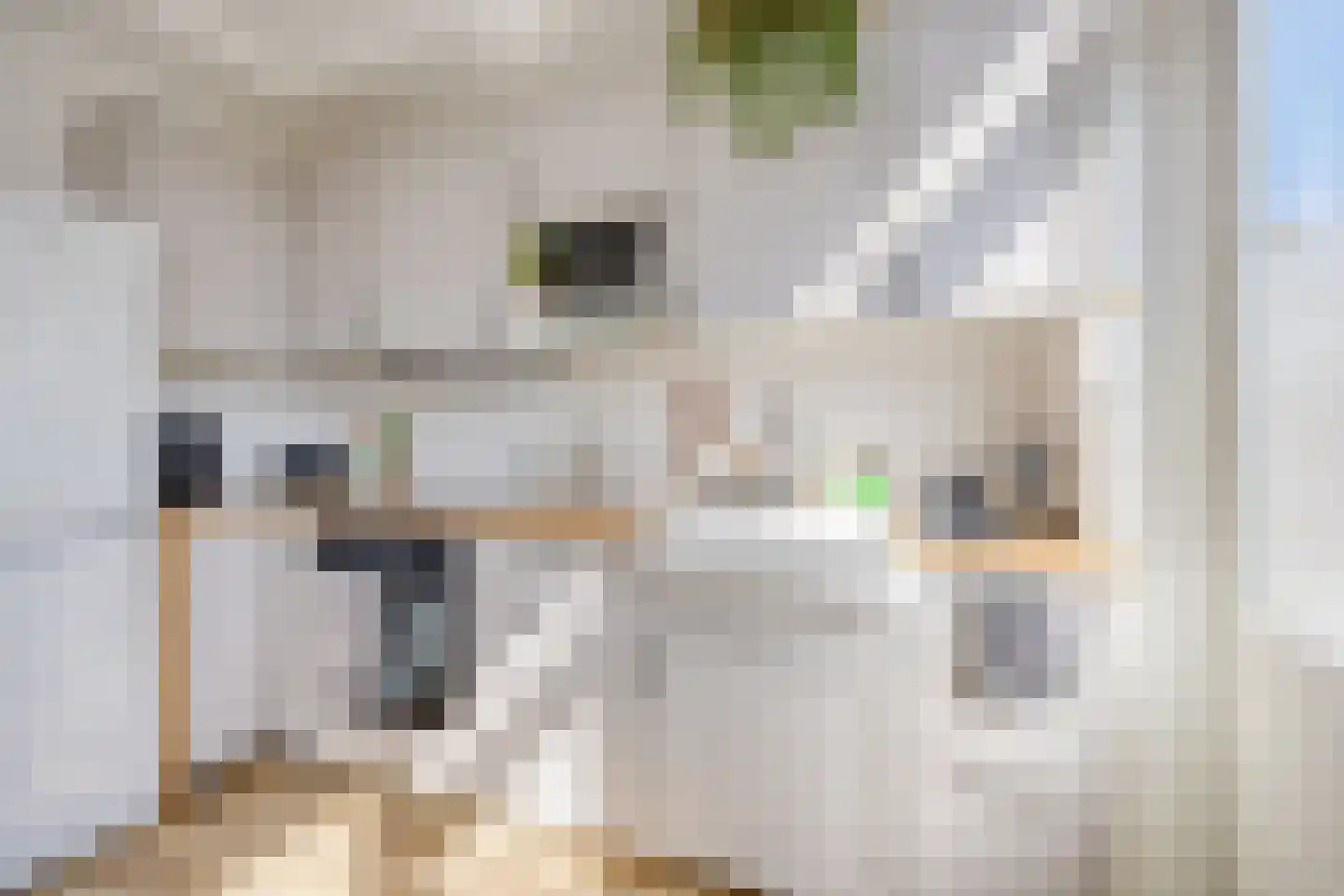 Adriaan van Ostadestraat 177 Groningen thumbnail 18