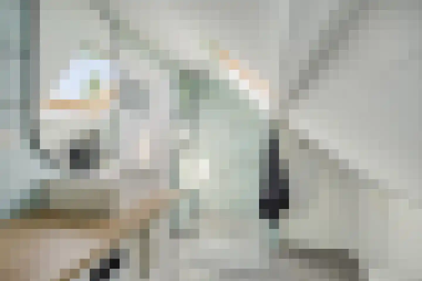 Adriaan van Ostadestraat 177 Groningen thumbnail 27