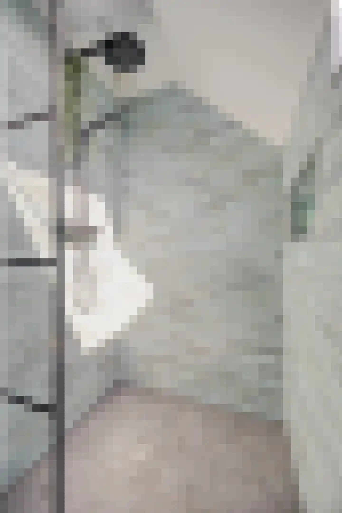 Adriaan van Ostadestraat 177 Groningen thumbnail 29