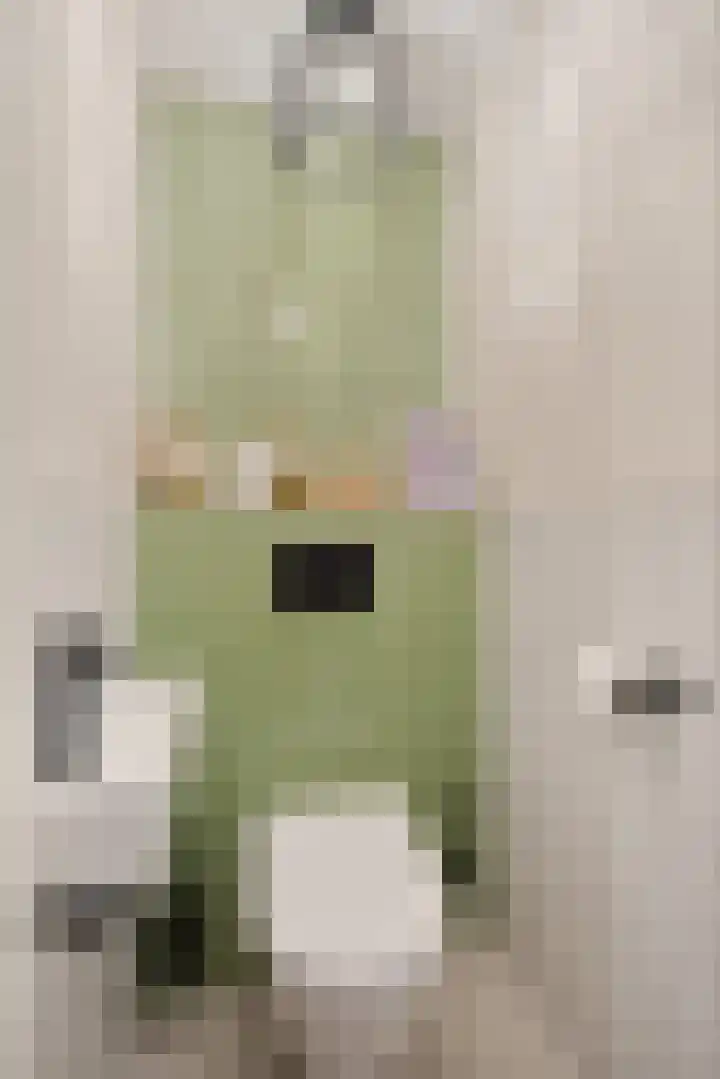 Adriaan van Ostadestraat 199 Groningen thumbnail 11