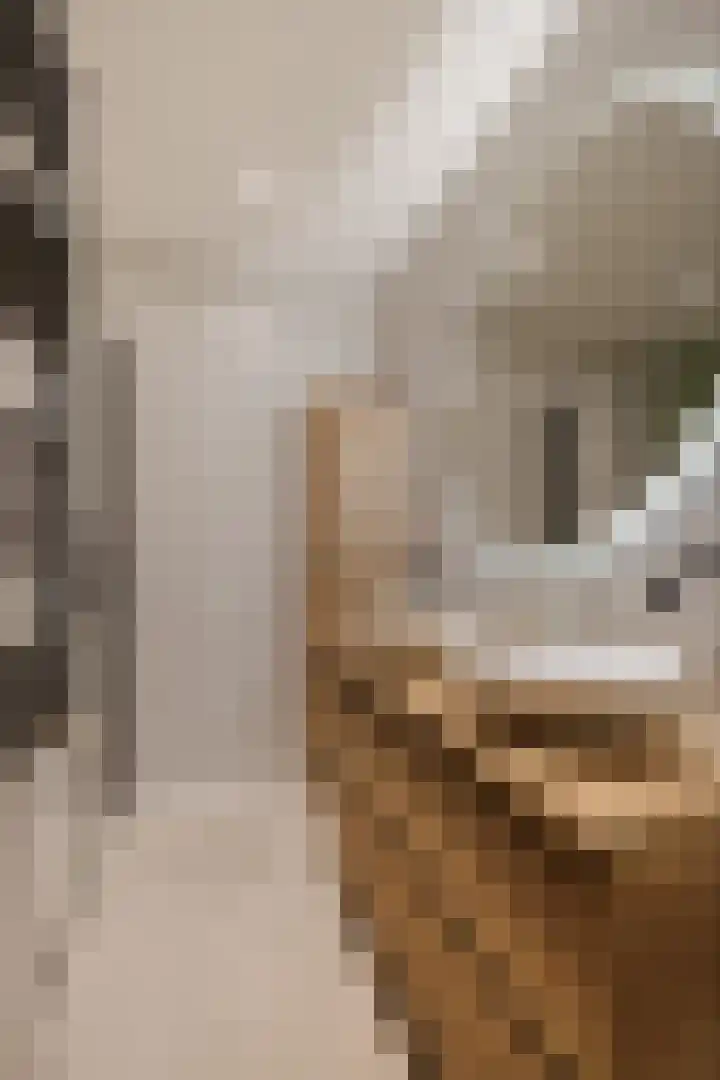 Adriaan van Ostadestraat 199 Groningen thumbnail 12