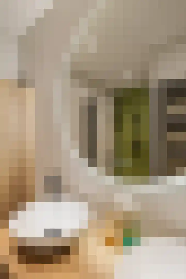 Adriaan van Ostadestraat 199 Groningen thumbnail 13