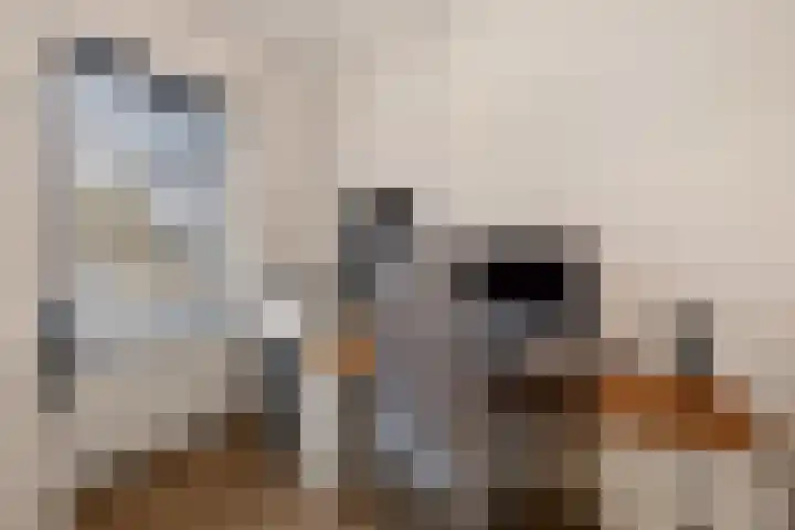 Adriaan van Ostadestraat 199 Groningen thumbnail 15