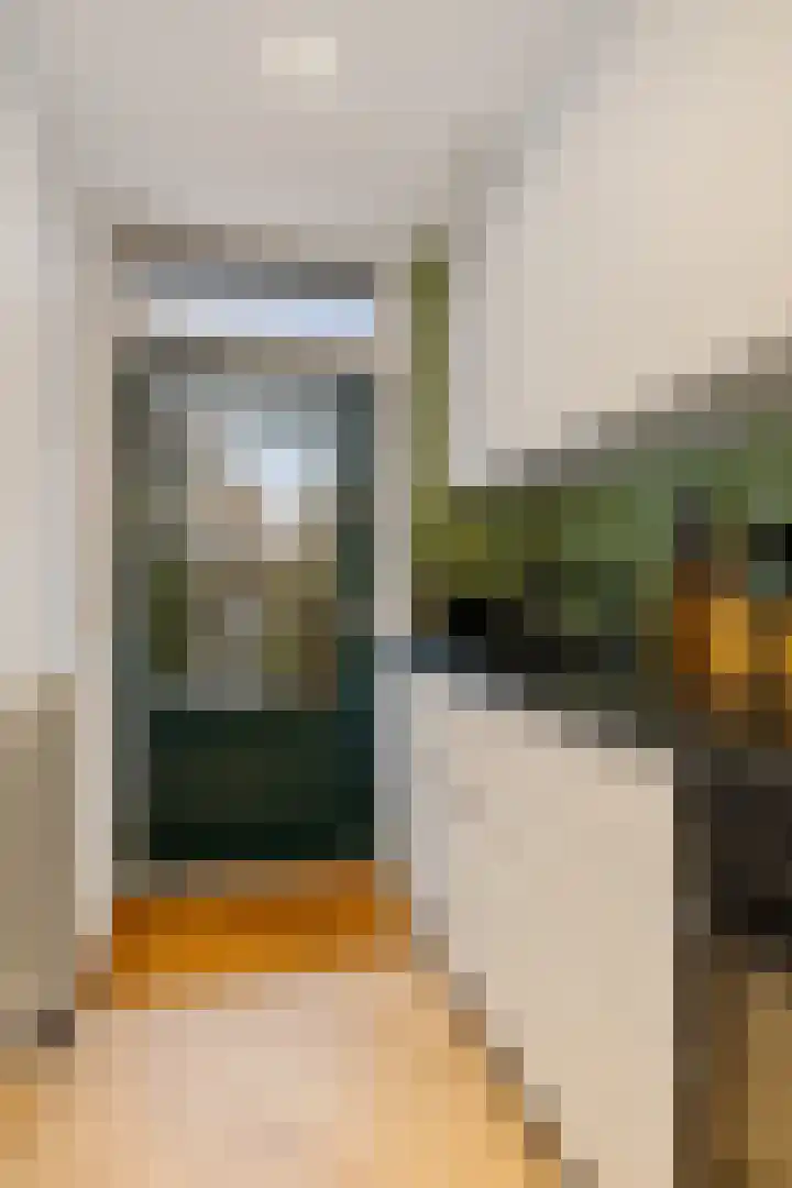 Adriaan van Ostadestraat 199 Groningen thumbnail 16