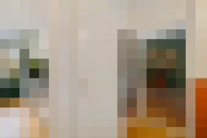Adriaan van Ostadestraat 199 Groningen thumbnail 17