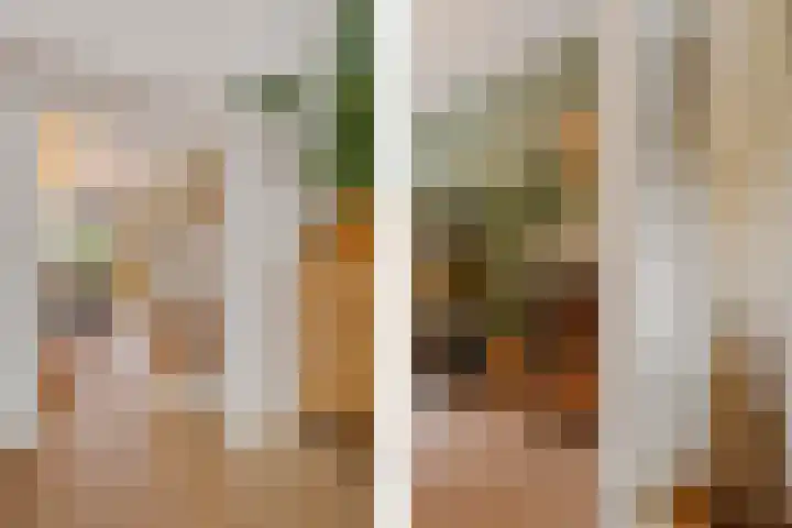 Adriaan van Ostadestraat 199 Groningen thumbnail 21