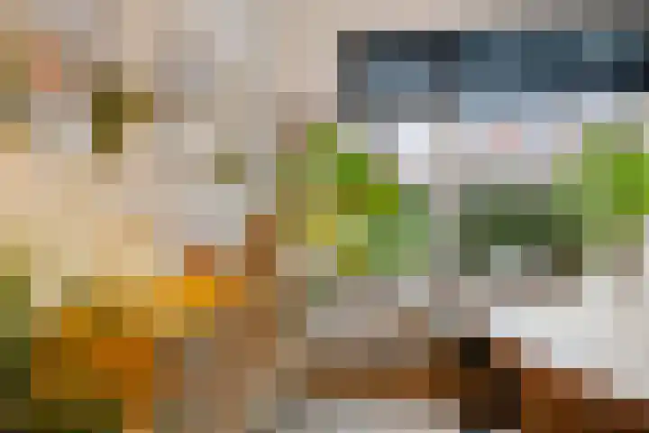 Adriaan van Ostadestraat 199 Groningen thumbnail 22
