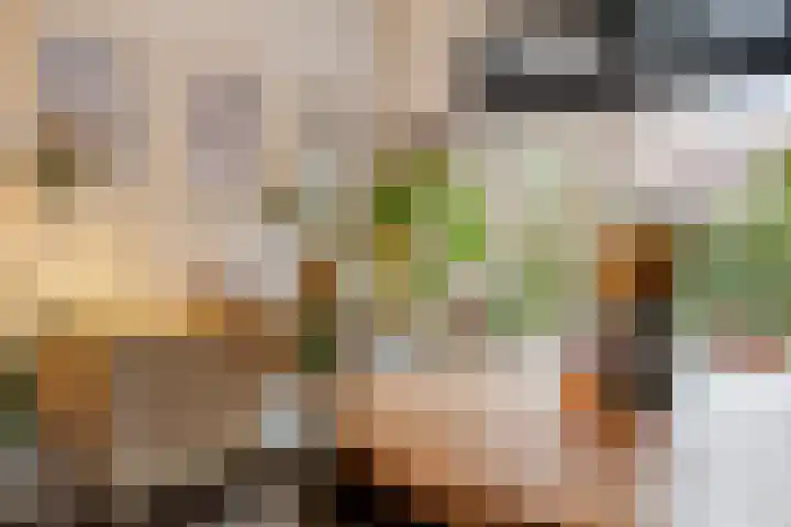 Adriaan van Ostadestraat 199 Groningen thumbnail 23