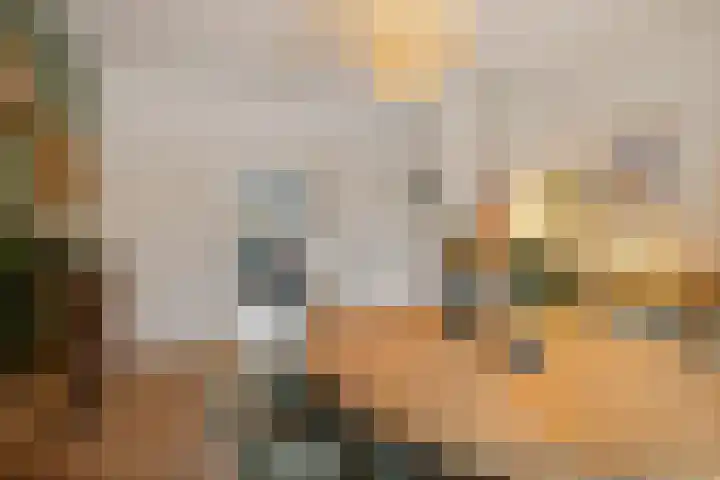 Adriaan van Ostadestraat 199 Groningen thumbnail 24