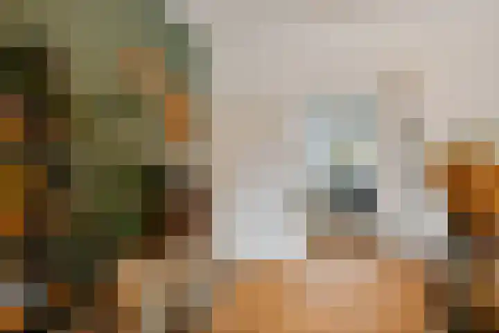 Adriaan van Ostadestraat 199 Groningen thumbnail 25