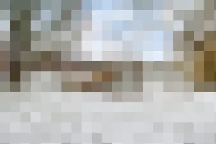 Adriaan van Ostadestraat 199 Groningen thumbnail 28