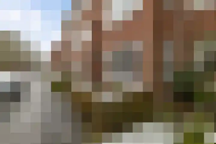 Adriaan van Ostadestraat 199 Groningen thumbnail 33