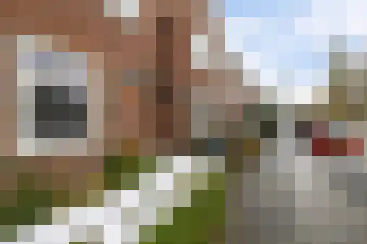 Adriaan van Ostadestraat 199 Groningen thumbnail 34