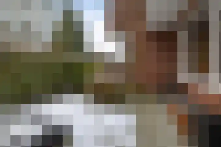 Adriaan van Ostadestraat 199 Groningen thumbnail 35