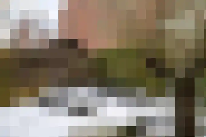 Adriaan van Ostadestraat 199 Groningen thumbnail 37