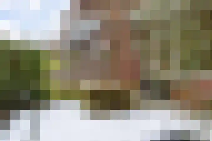 Adriaan van Ostadestraat 199 Groningen thumbnail 38