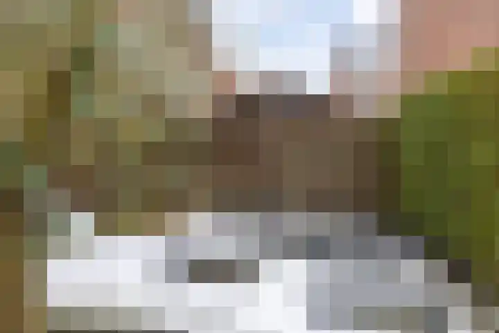 Adriaan van Ostadestraat 199 Groningen thumbnail 39
