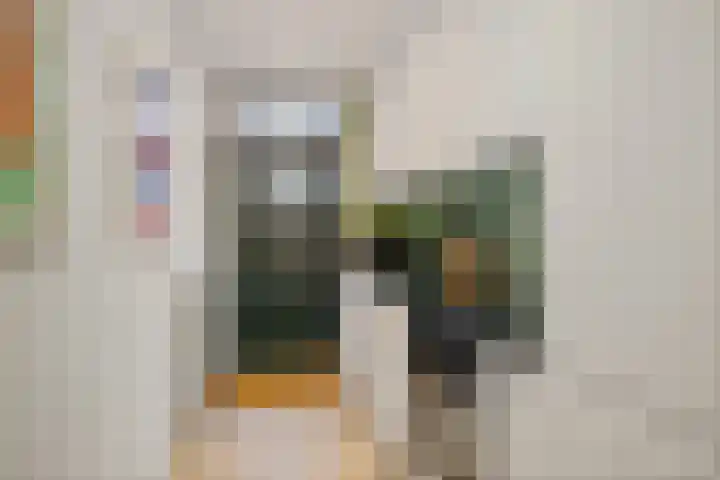 Adriaan van Ostadestraat 199 Groningen thumbnail 4