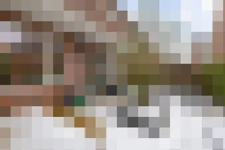 Adriaan van Ostadestraat 199 Groningen thumbnail 40