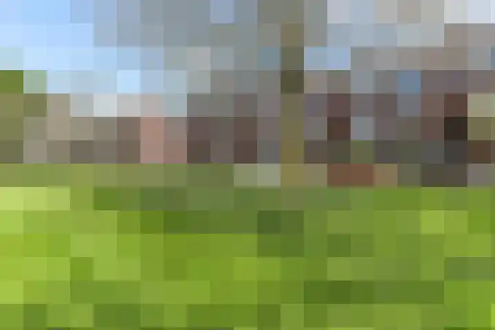 Adriaan van Ostadestraat 199 Groningen thumbnail 41