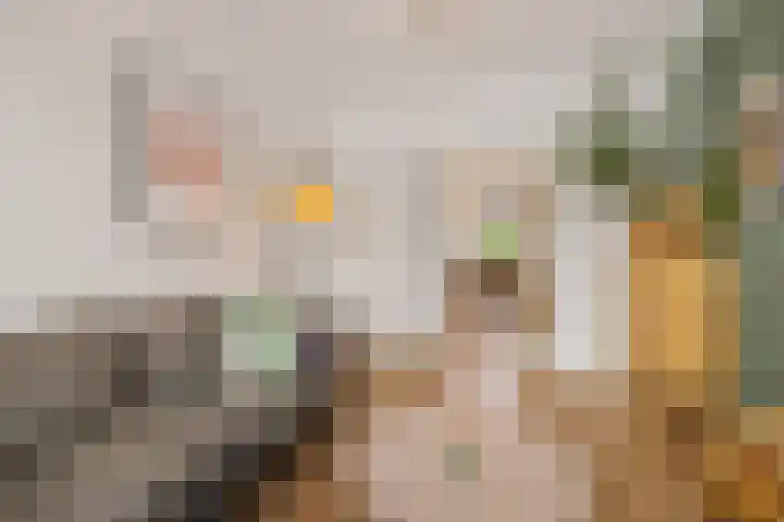 Adriaan van Ostadestraat 199 Groningen thumbnail 5