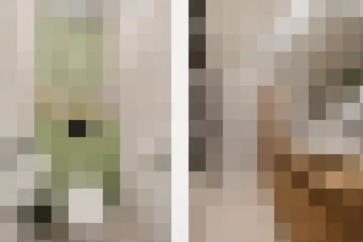 Adriaan van Ostadestraat 199 Groningen thumbnail 6