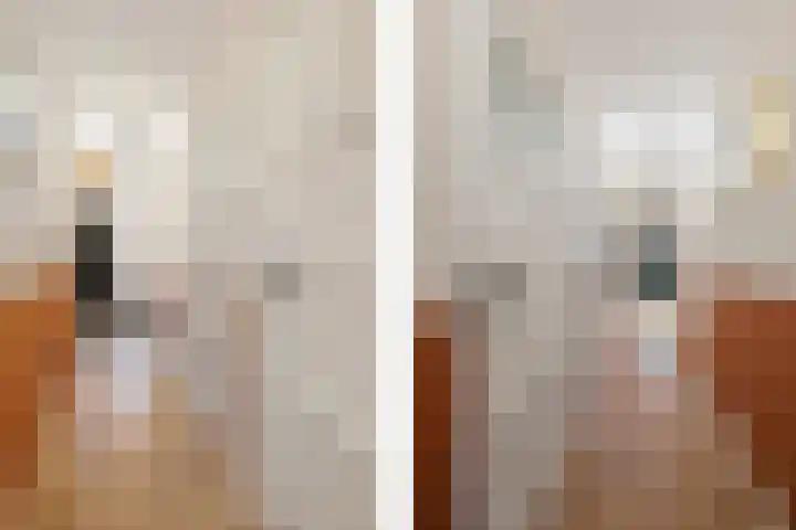 Adriaan van Ostadestraat 199 Groningen thumbnail 8