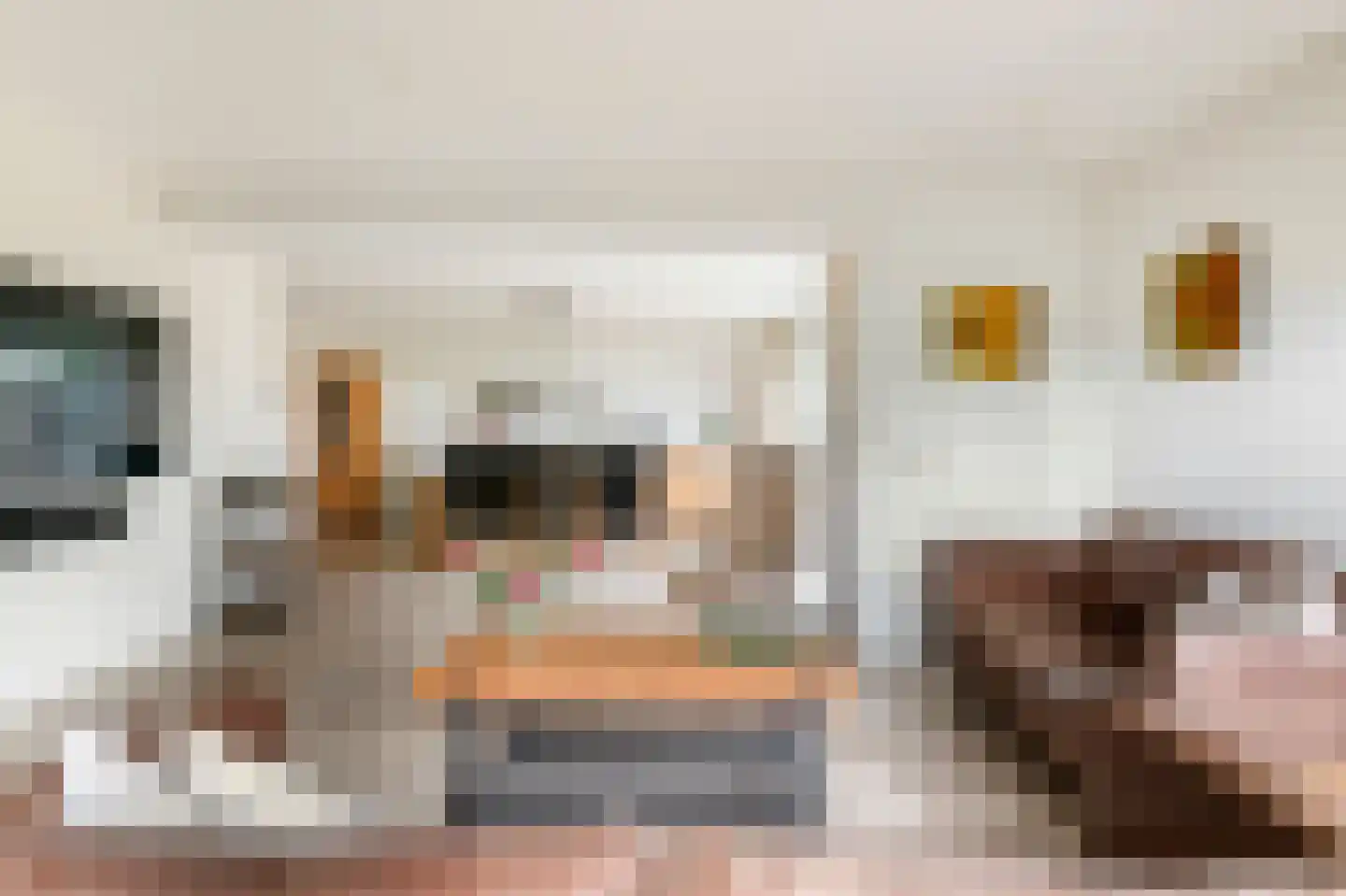 Adriaan van Ostadestraat 2 Tiel thumbnail 12
