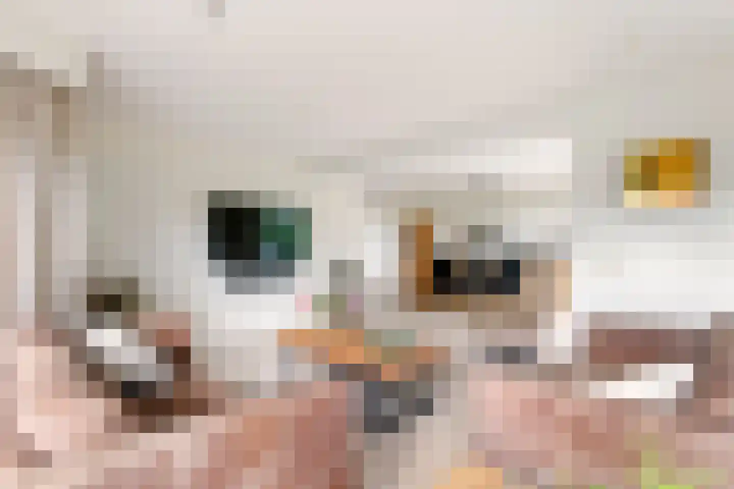 Adriaan van Ostadestraat 2 Tiel thumbnail 13