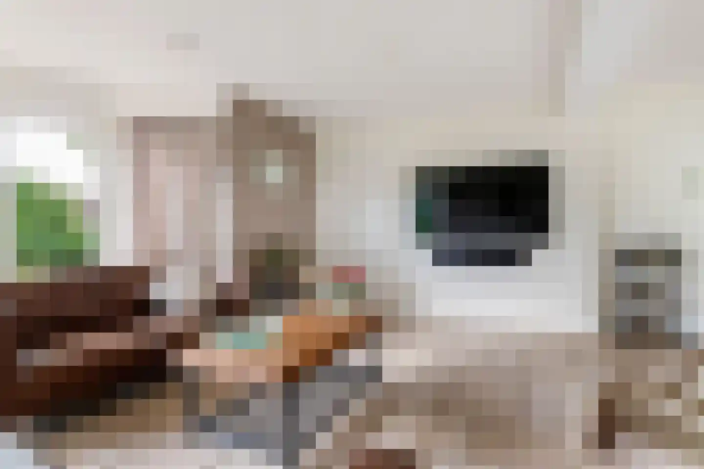 Adriaan van Ostadestraat 2 Tiel thumbnail 14