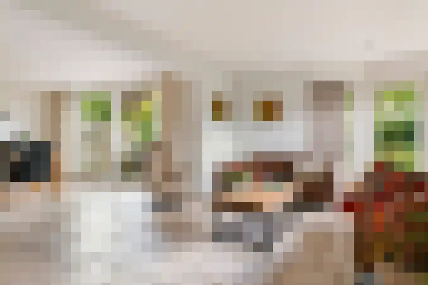 Adriaan van Ostadestraat 2 Tiel thumbnail 16