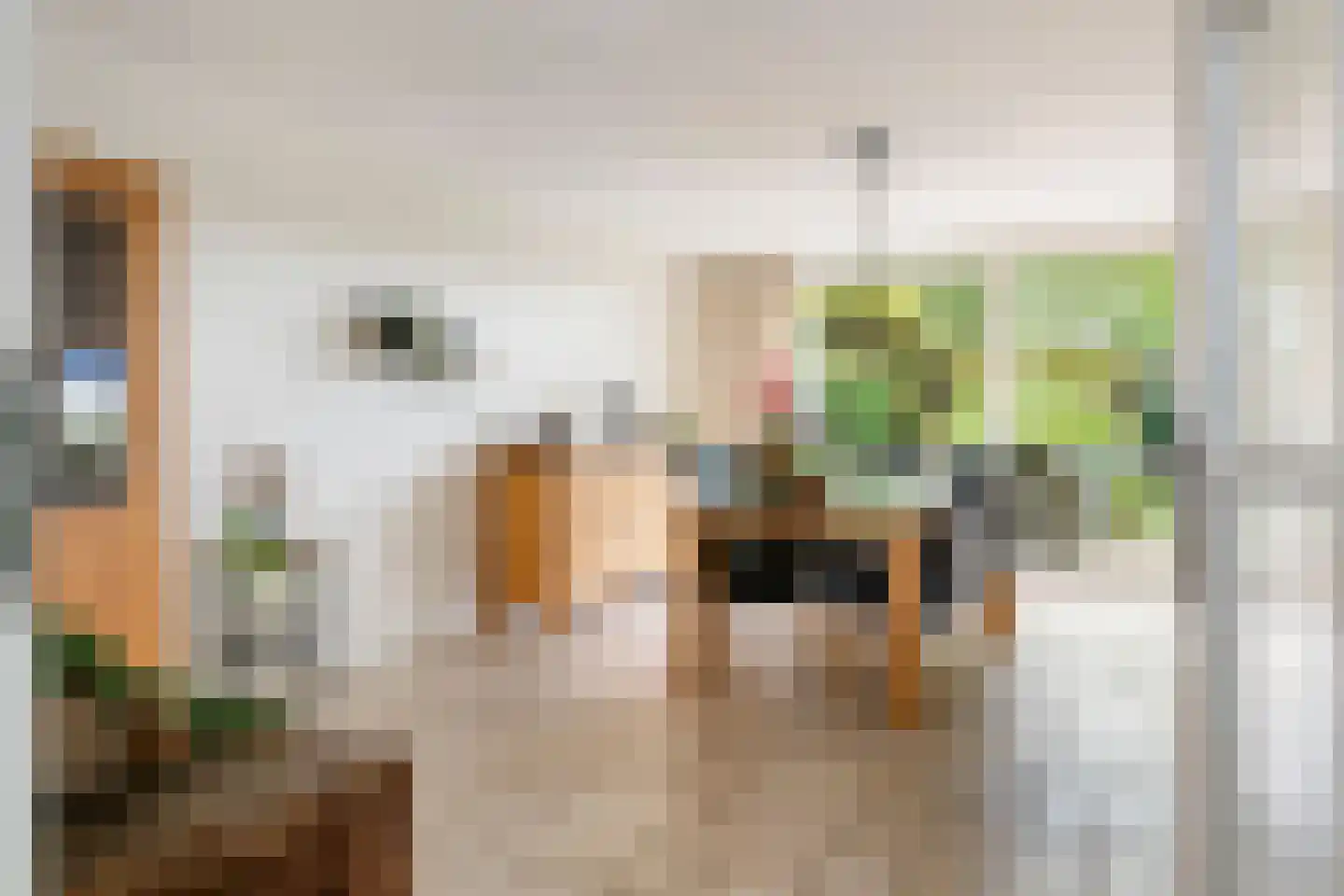 Adriaan van Ostadestraat 2 Tiel thumbnail 17