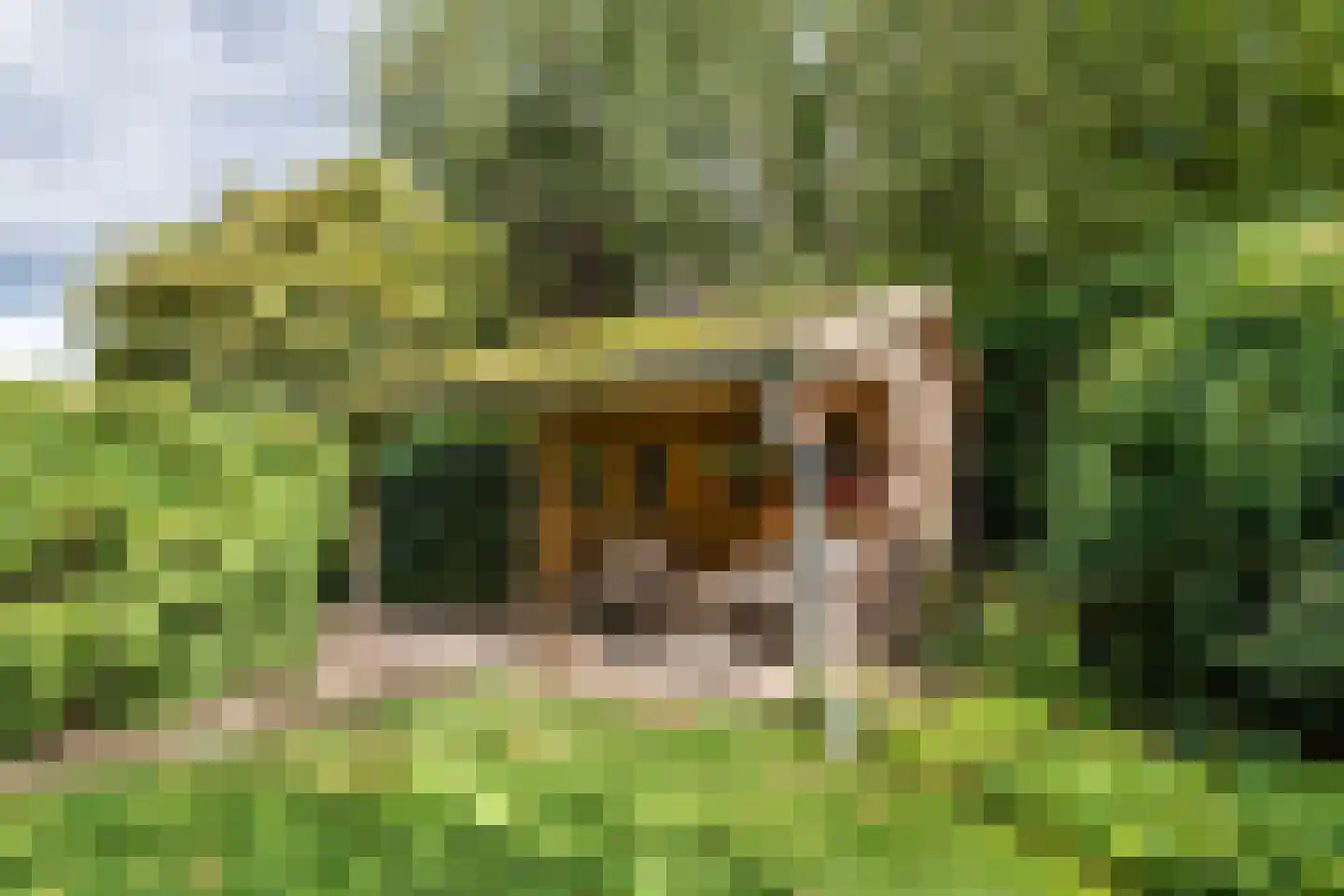 Adriaan van Ostadestraat 2 Tiel thumbnail 27