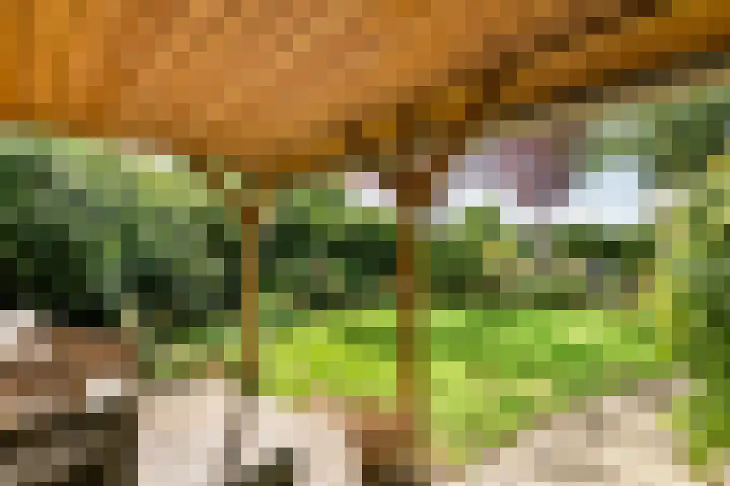 Adriaan van Ostadestraat 2 Tiel thumbnail 28