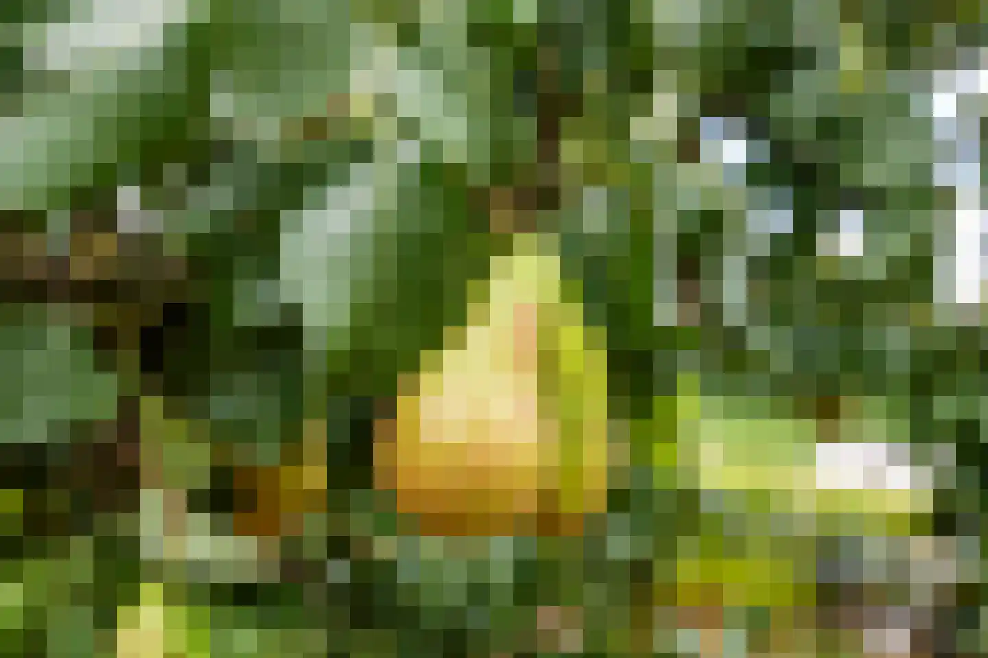 Adriaan van Ostadestraat 2 Tiel thumbnail 29