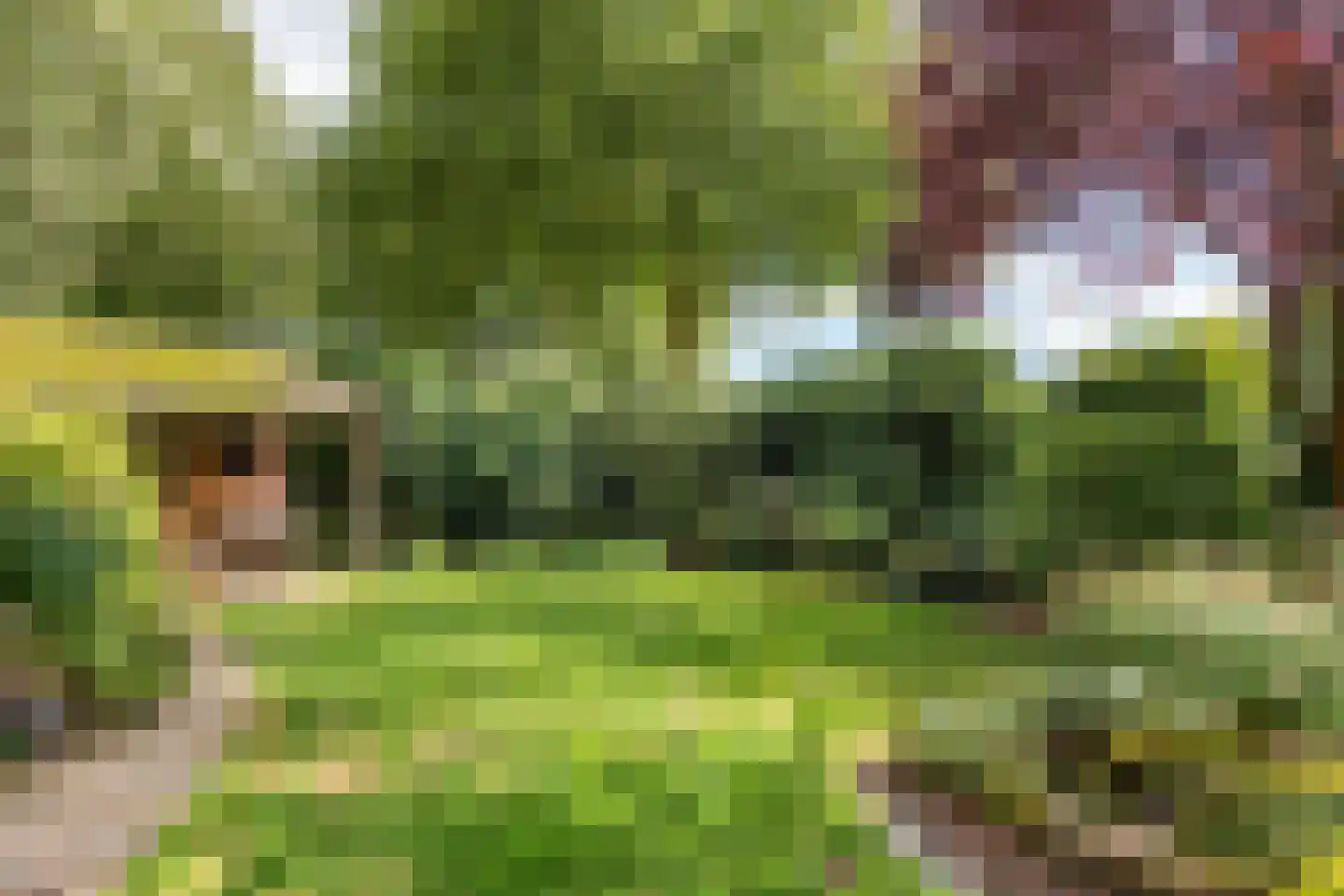 Adriaan van Ostadestraat 2 Tiel thumbnail 30