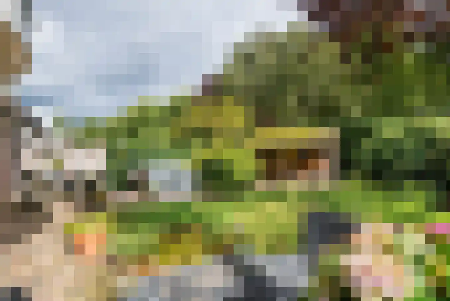 Adriaan van Ostadestraat 2 Tiel thumbnail 31
