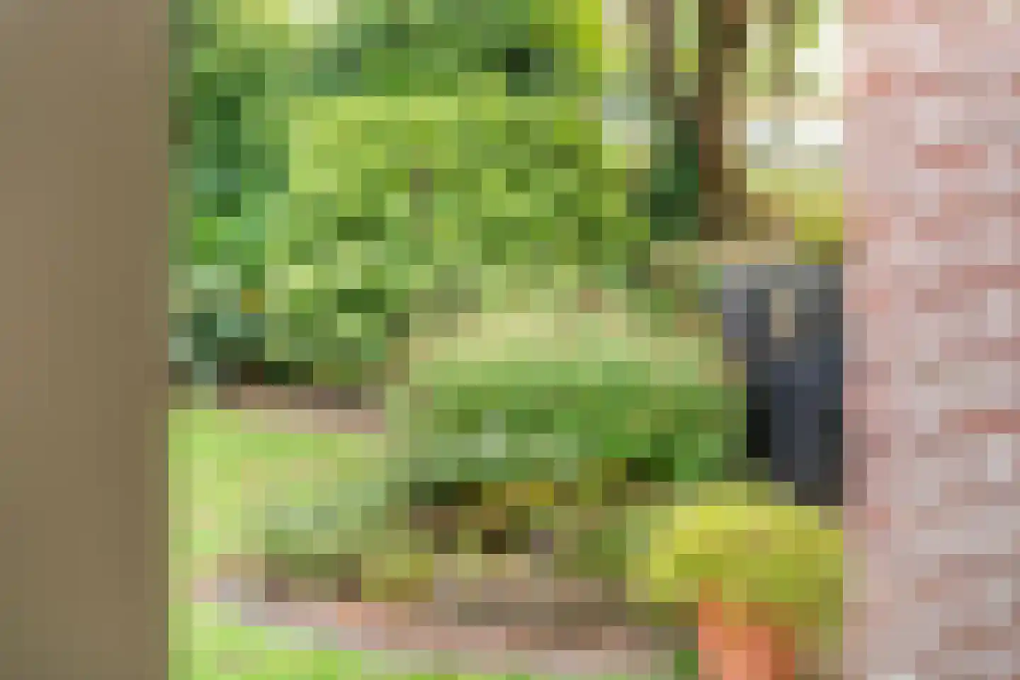 Adriaan van Ostadestraat 2 Tiel thumbnail 34