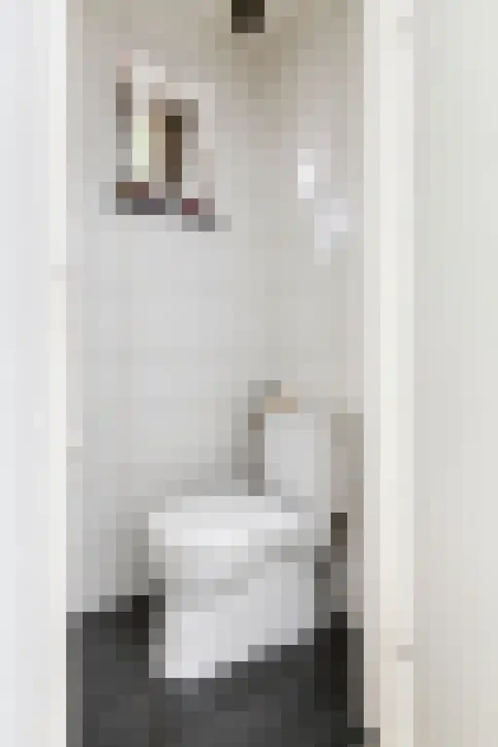 Adriaan van Ostadestraat 2 Tiel thumbnail 38