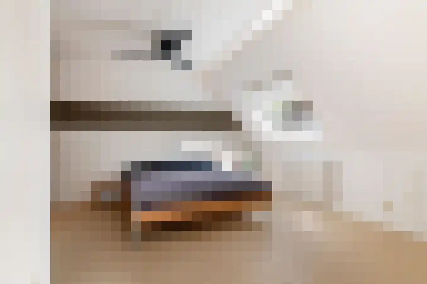 Adriaan van Ostadestraat 2 Tiel thumbnail 40