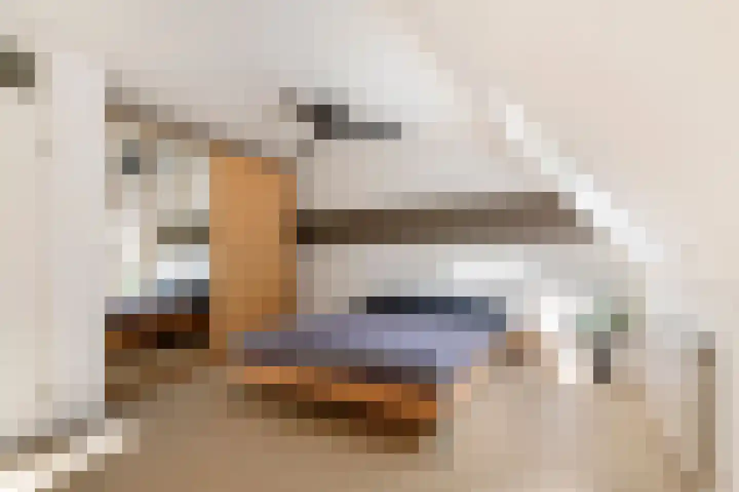 Adriaan van Ostadestraat 2 Tiel thumbnail 41