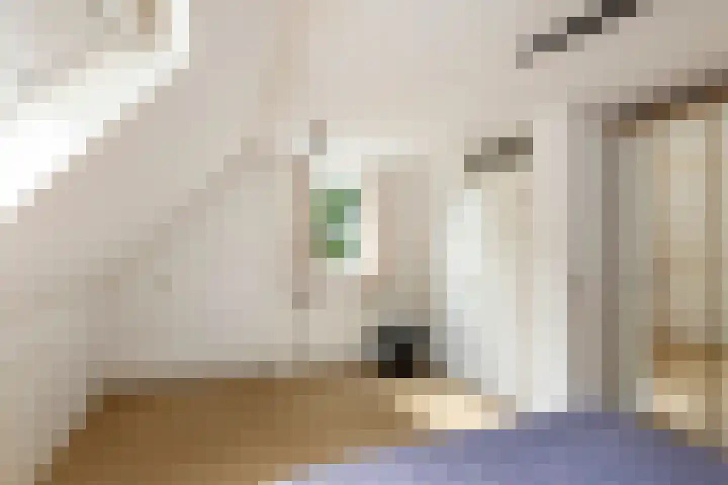 Adriaan van Ostadestraat 2 Tiel thumbnail 42