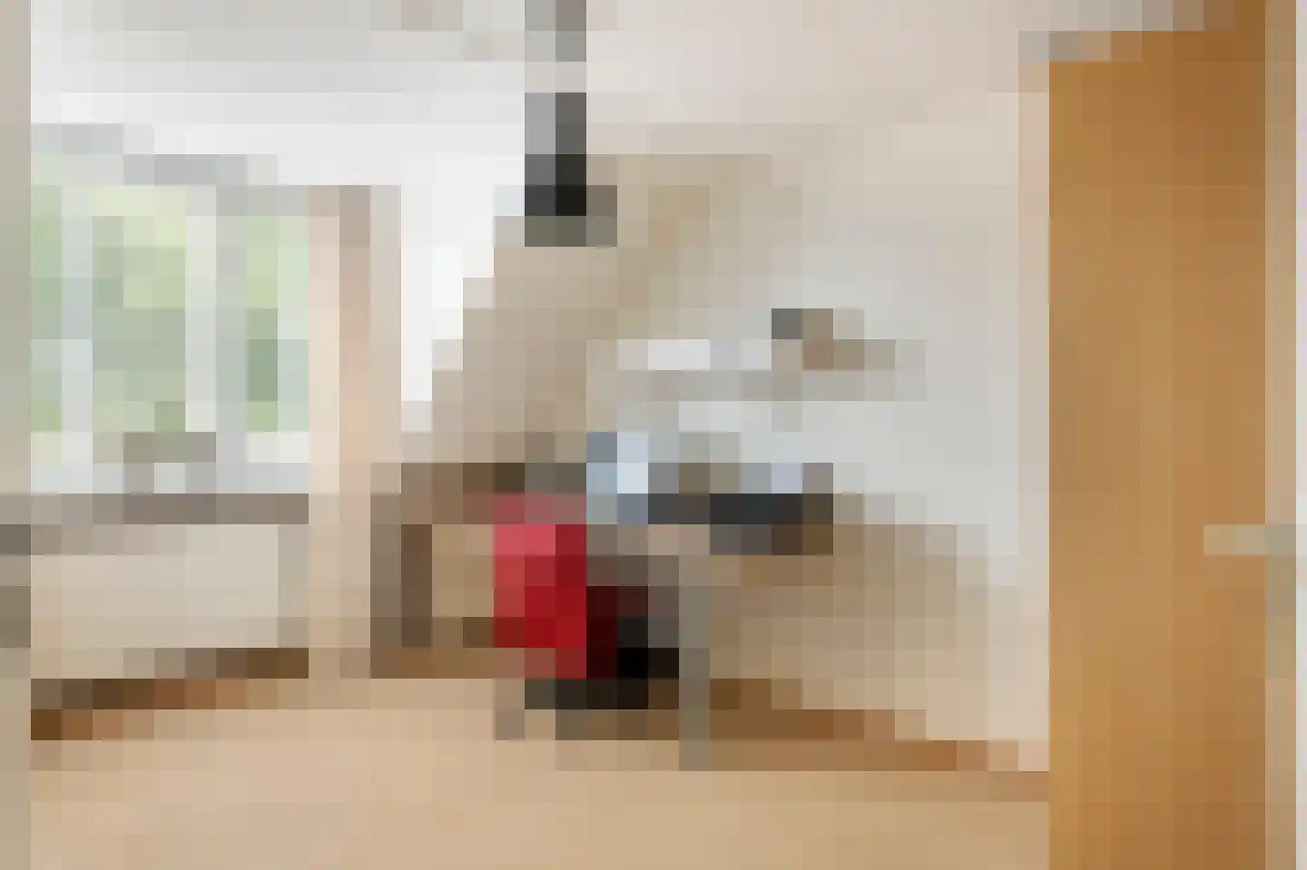 Adriaan van Ostadestraat 2 Tiel thumbnail 43