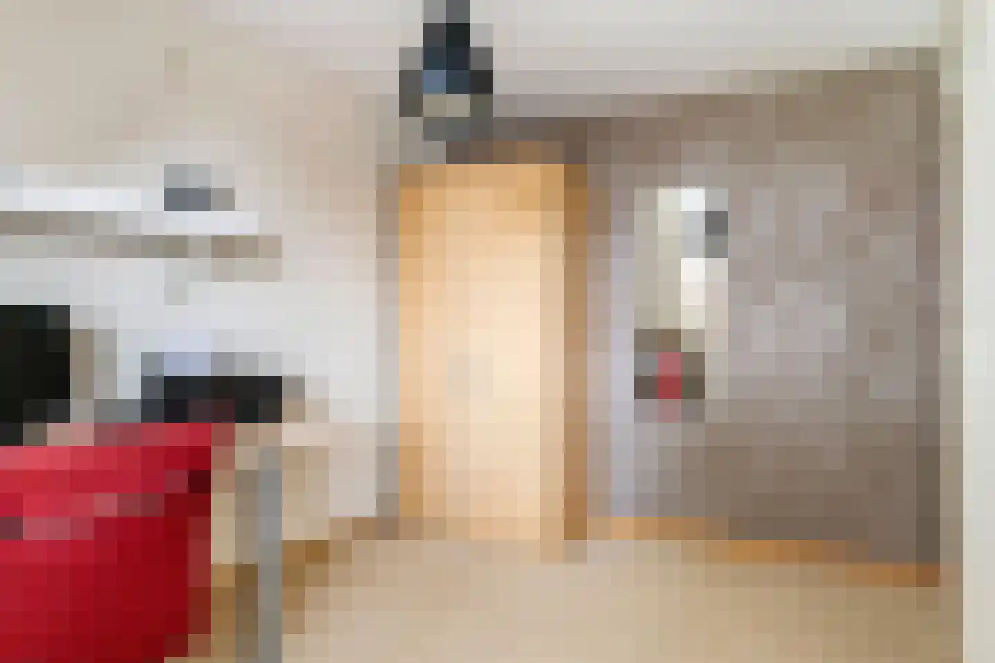 Adriaan van Ostadestraat 2 Tiel thumbnail 45