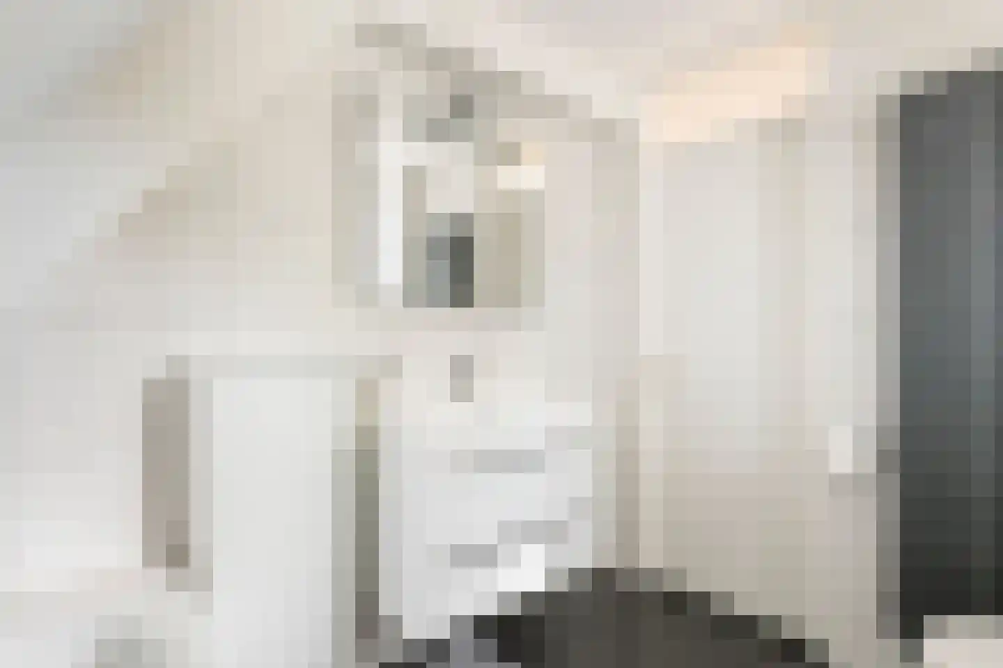 Adriaan van Ostadestraat 2 Tiel thumbnail 47