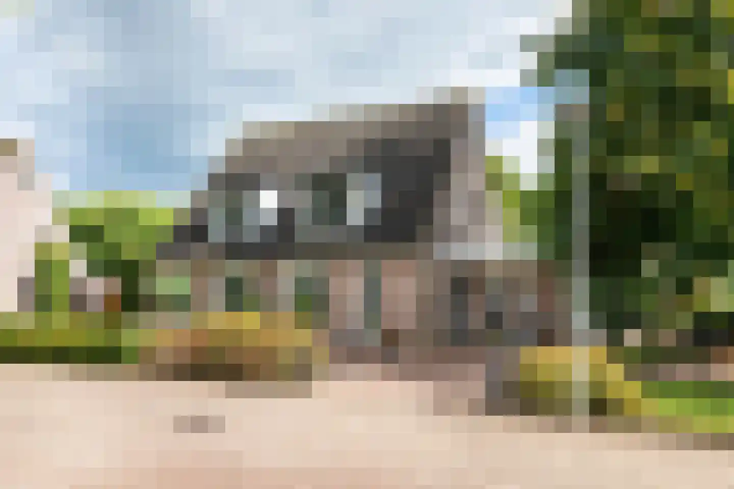 Adriaan van Ostadestraat 2 Tiel thumbnail 53