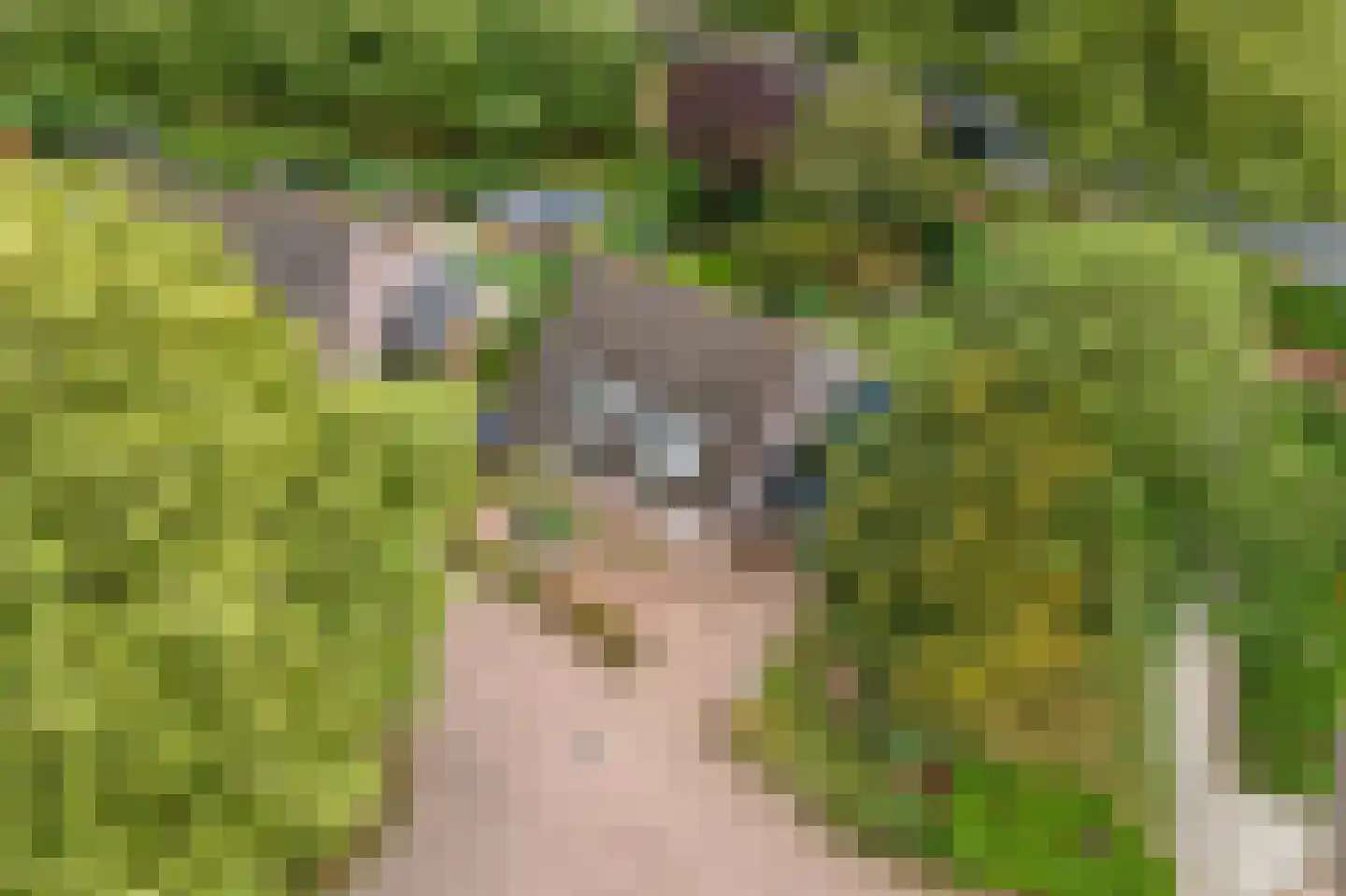 Adriaan van Ostadestraat 2 Tiel thumbnail 54