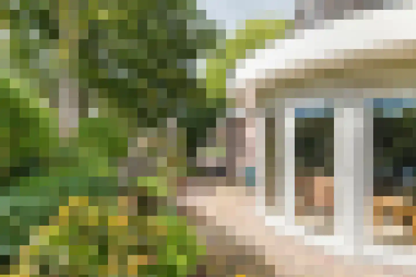 Adriaan van Ostadestraat 2 Tiel thumbnail 7