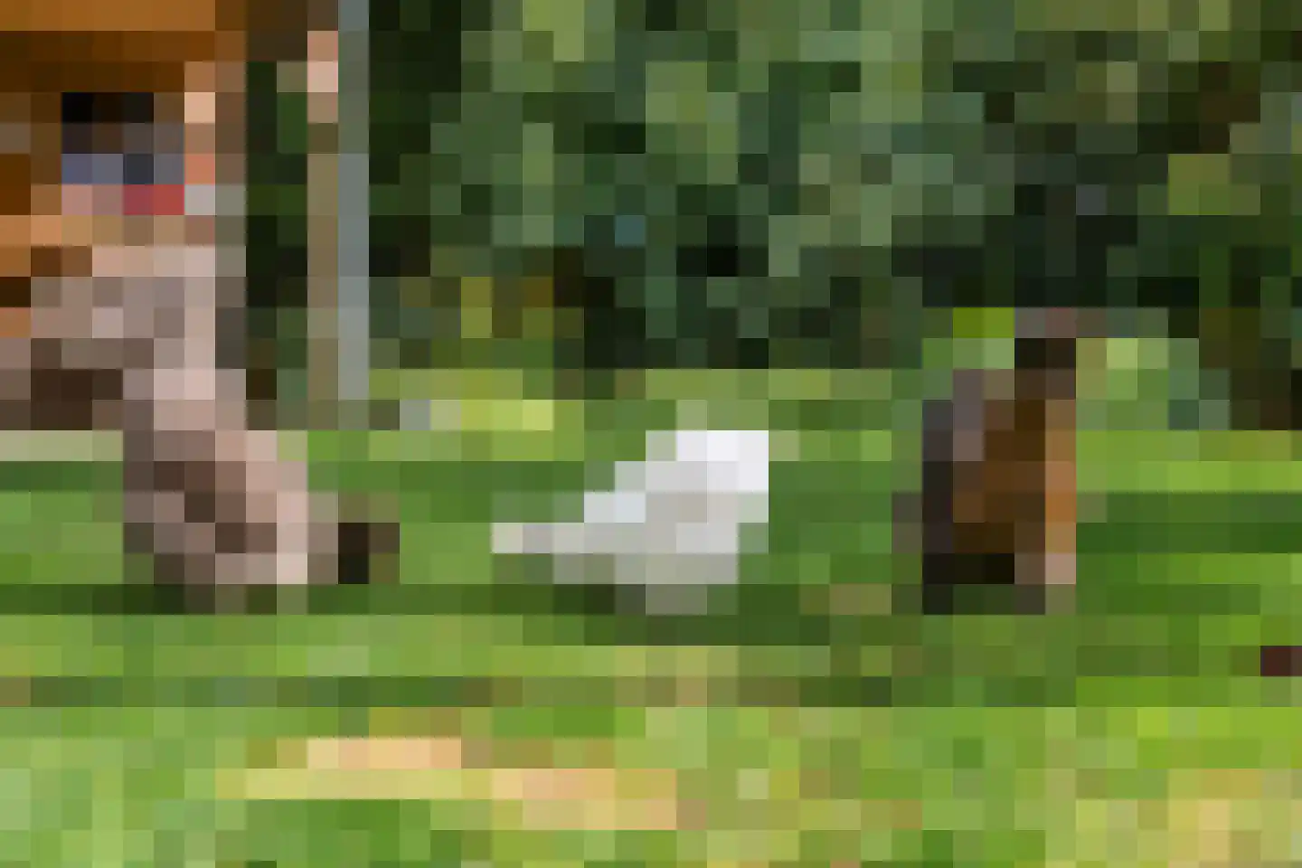 Adriaan van Ostadestraat 2 Tiel thumbnail 8